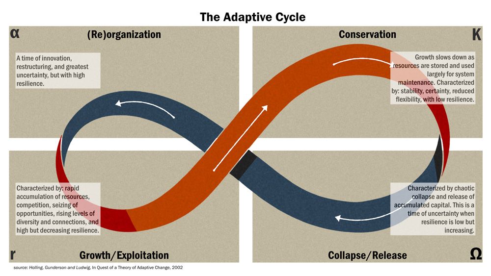 Holling et al Whale diagram of the ecosystem adaptive cycle.